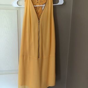 Naked zebra shift dress